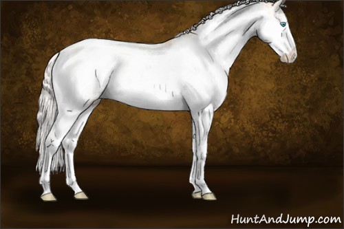 Horse Color:Gold Cream Champagne Pearl Sabino 