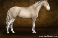 Horse Color:Chocolate Palomino Pearl Sabino Rabicano 