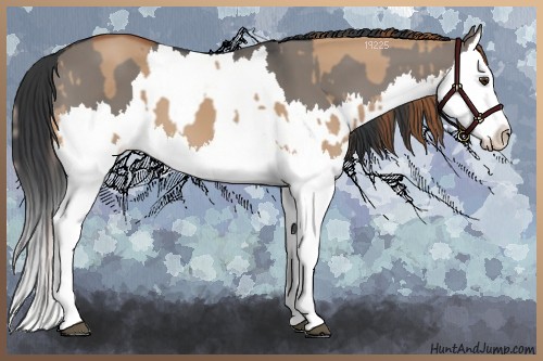 Horse Color:Red Dun Splash  and Grullo Splash 