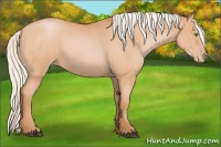 Horse Color:Silver Bay Roan Pearl 