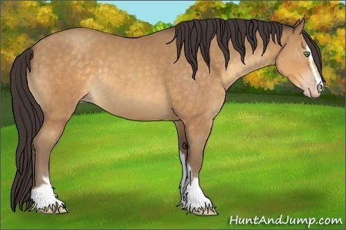 Horse Color:Sable Cream Champagne Sabino 