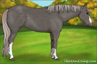 Horse Color:Silver Black 