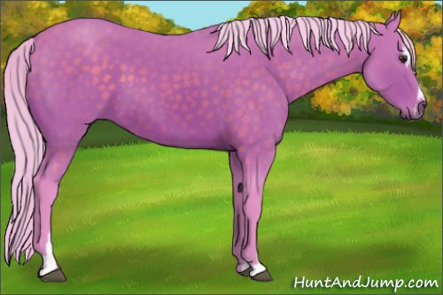 Horse Color:Watercolor Silver Brown Sabino