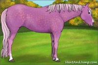 Horse Color:Watercolor Silver Brown Sabino 