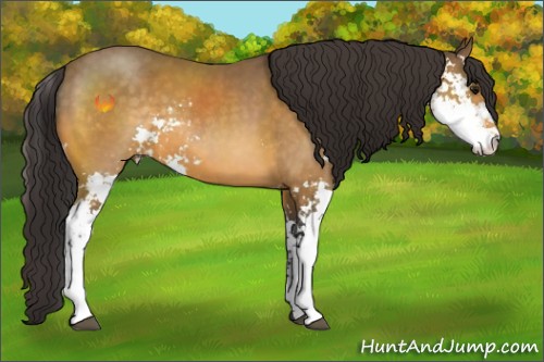 Horse Color:Buckskin Sabino 