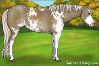 Horse Color:Silver Smoky Black Sabino 