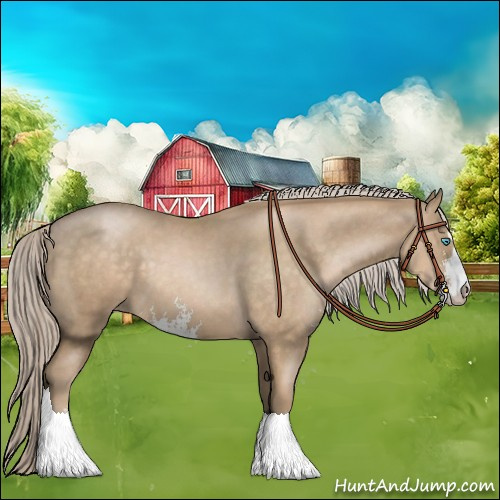 Horse Color:Chocolate Palomino Pearl Sabino 