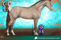 Horse Color:Classic Champagne Dun 