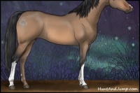 Horse Color:Brown Dun 