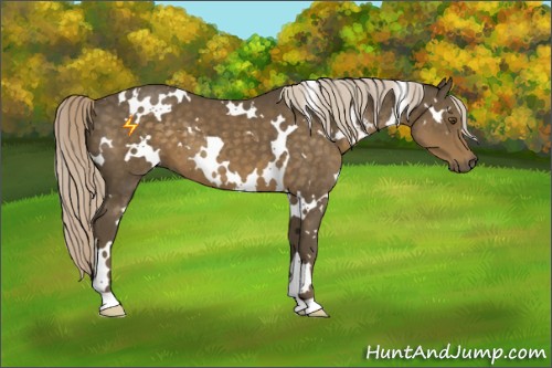 Horse Color:White Spotted Chocolate Palomino Mushroom 