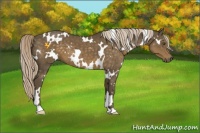 Horse Color:White Spotted Chocolate Palomino Mushroom 