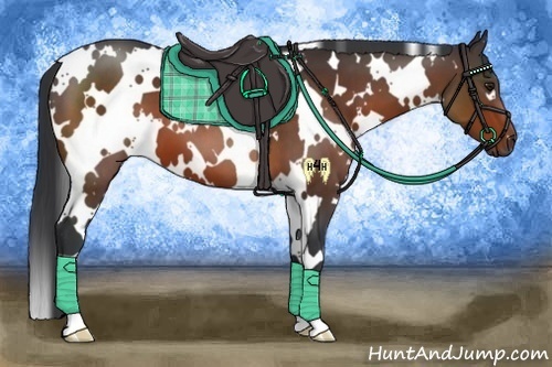 Horse Color:White Spotted Brown 