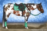 Horse Color:White Spotted Brown 