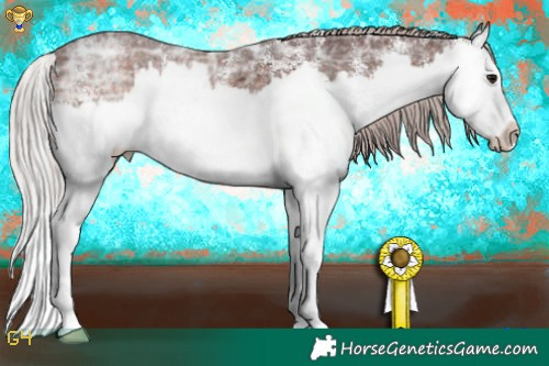 Horse Color:White Spotted Chocolate Silver Brown Ice Splash 