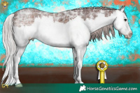 Horse Color:White Spotted Chocolate Silver Brown Ice Splash 