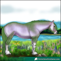 Horse Color:Watercolor Bay Onyx 
