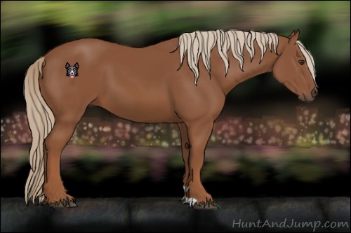 Horse Color:Chestnut 