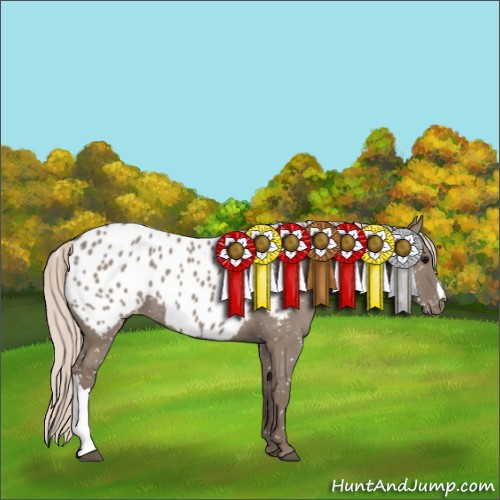 Horse Color:Silver Grullo Near Leopard 