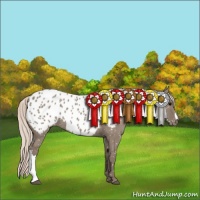 Horse Color:Silver Grullo Near Leopard 