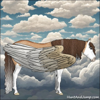 Horse Color:Bay Dun Splash Appaloosa
