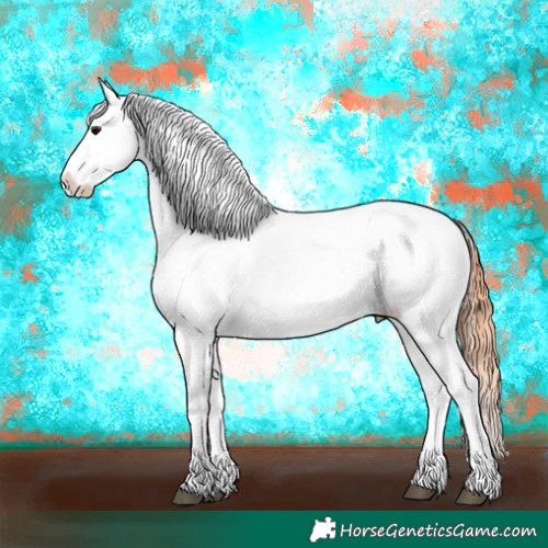 Horse Color:Bay Near Fewspot 