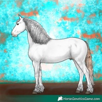 Horse Color:Bay Near Fewspot 