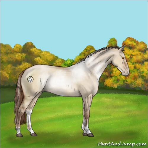 Horse Color:Brown Pearl Dun Sabino Rabicano