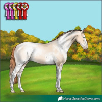 Horse Color:White Spotted Classic Champagne Pearl Dun Splash Tobiano Rabicano