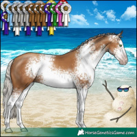 Horse Color:Gray White Spotted Silver Classic Champagne Sabino Splash Rabicano 