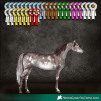 Horse Color:Platinum White Spotted Chocolate Brown Dun 