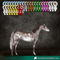 Horse Color:Platinum White Spotted Chocolate Brown Dun