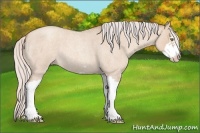 Horse Color:Silver Classic Champagne Roan Dun Splash Frame 