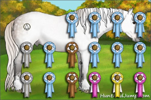 Horse Color:Gray Silver Bay Sabino