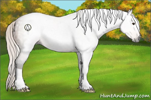 Horse Color:Gray Silver Bay