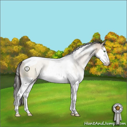 Horse Color:Sable Champagne Dun Sabino Splash Tobiano Rabicano