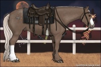 Horse Color:Silver Black 