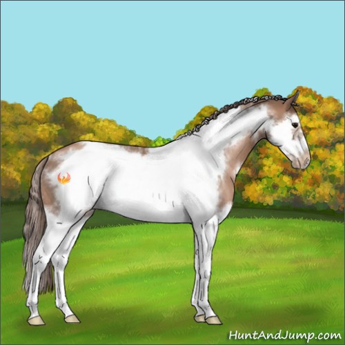 Horse Color:White Spotted Black Pearl Sabino Splash Frame Rabicano 