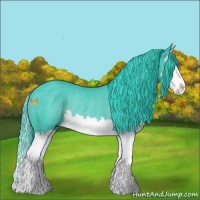 Horse Color:Watercolor Black Sabino Splash Rabicano 