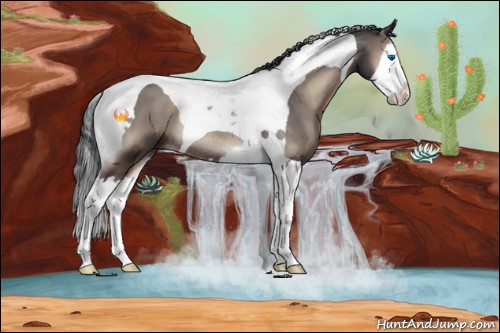 Horse Color:Blue Onyx Splash Tobiano Rabicano 