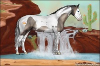 Horse Color:Blue Onyx Splash Tobiano Rabicano 