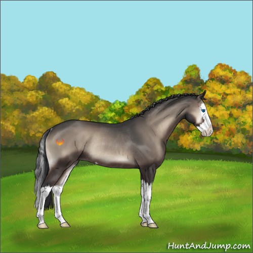 Horse Color:Blue Onyx Sabino Splash Rabicano 