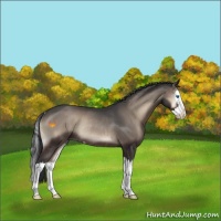 Horse Color:Blue Onyx Sabino Splash Rabicano 