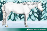 Horse Color:White Spotted Chocolate Palomino Pearl Snowcap 