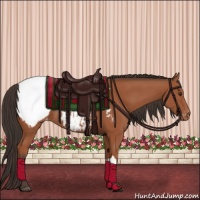Horse Color:Bay Snowcap Rabicano 
