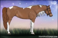 Horse Color:Chestnut Tobiano 