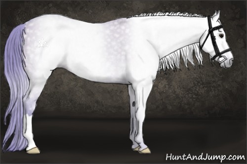 Horse Color:Gray Watercolor Smoky Grullo 