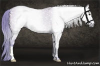 Horse Color:Gray Watercolor Smoky Grullo 