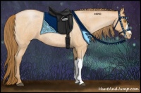 Horse Color:Bay Roan Pearl 