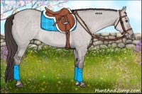 Horse Color:Platinum Liver Red Dun 