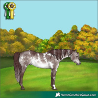 Horse Color:Platinum White Spotted Chocolate Brown Dun 